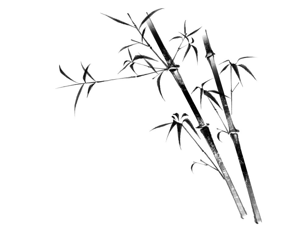 bamboo_ink_brush_art_transparent